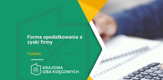 formy opodatkowania a zysk firmy